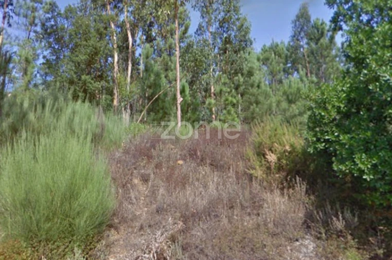 Terreno para Venda em Melres e Medas Foto 4