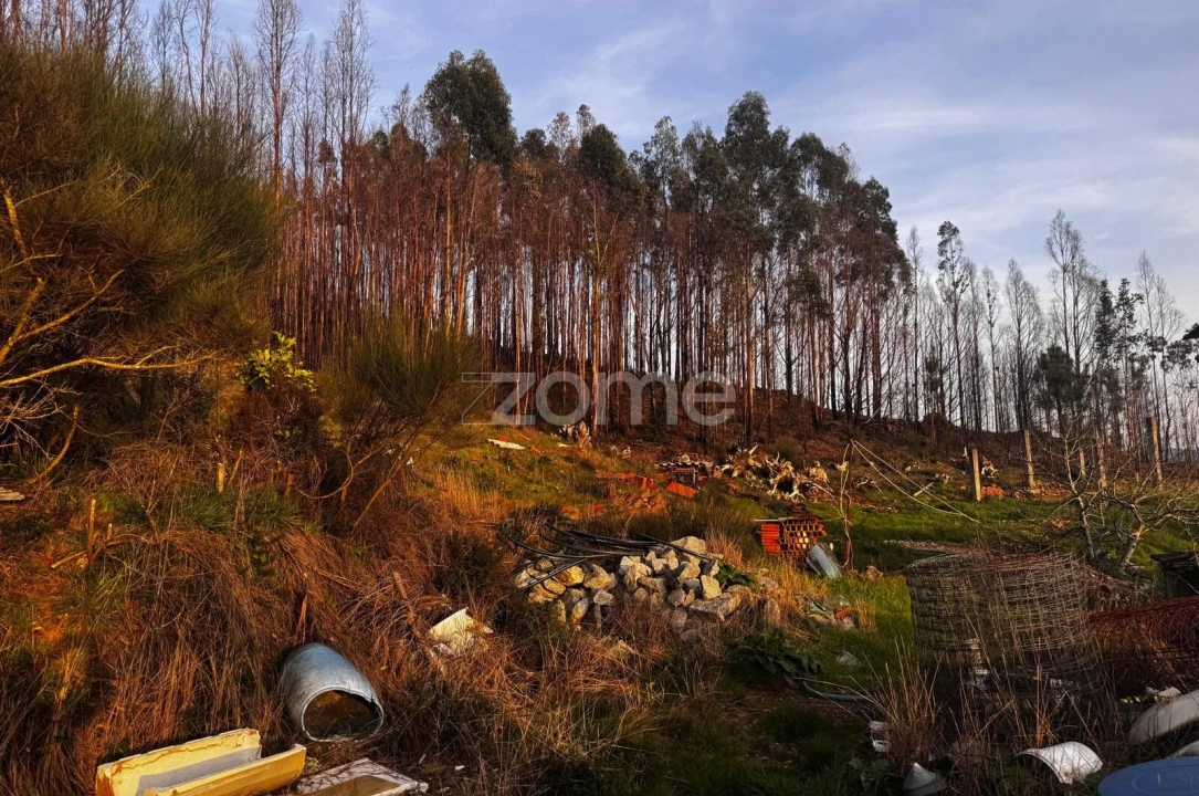 Terreno para Venda em Melres e Medas Foto 7