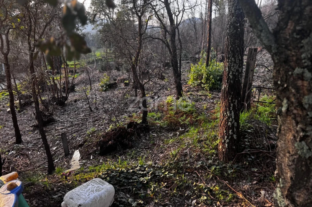 Terreno para Venda em Melres e Medas Foto 6