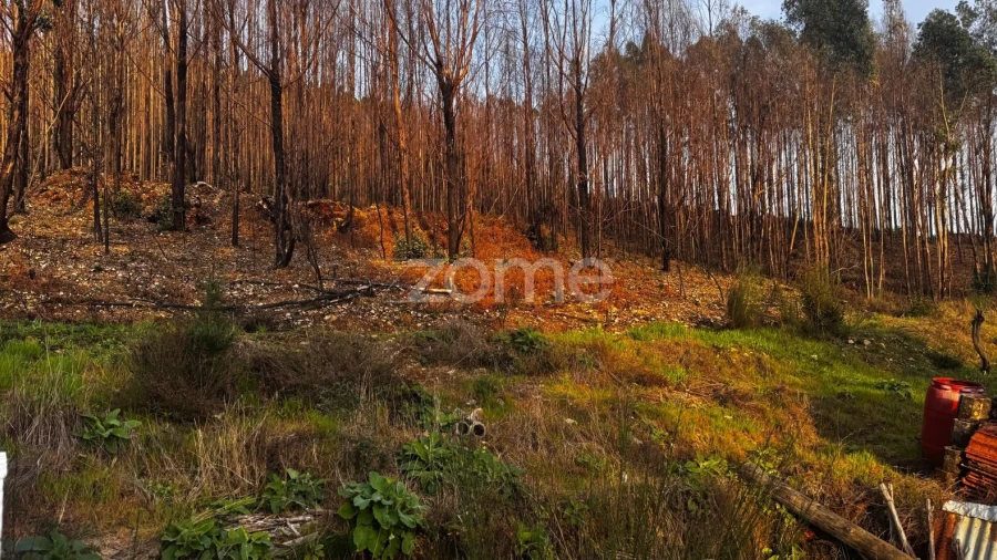 Terreno para Venda em Melres e Medas