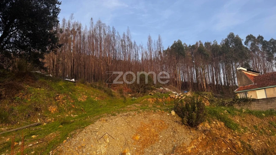Terreno para Venda em Melres e Medas