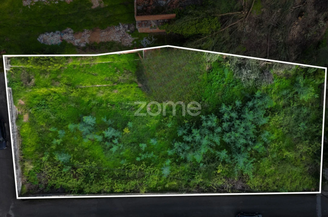 Terreno para Venda em São Martinho do Bispo e Ribeira de Frades Foto 4