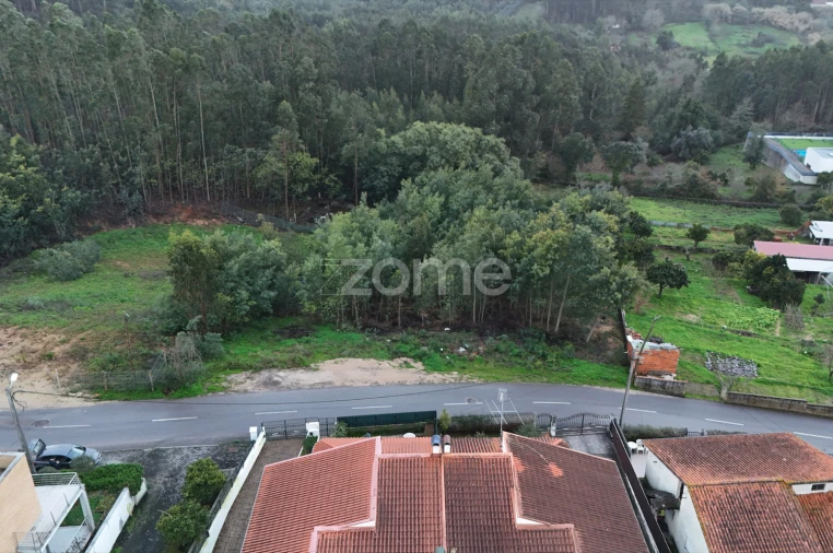 Terreno para Venda em São Martinho do Bispo e Ribeira de Frades Foto 9