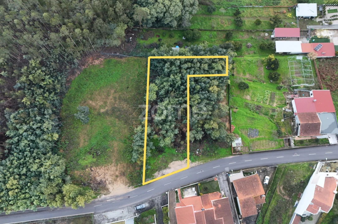 Terreno para Venda em São Martinho do Bispo e Ribeira de Frades Foto 3