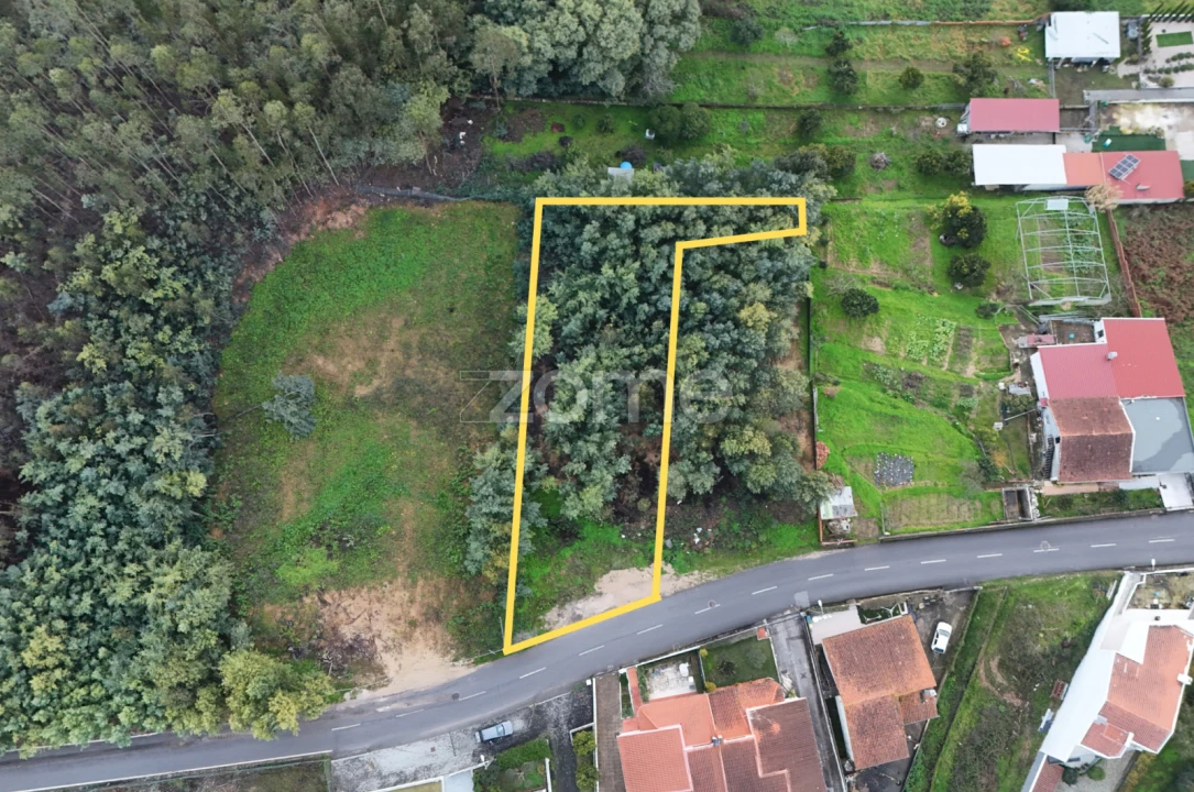 Terreno para Venda em São Martinho do Bispo e Ribeira de Frades Foto 1