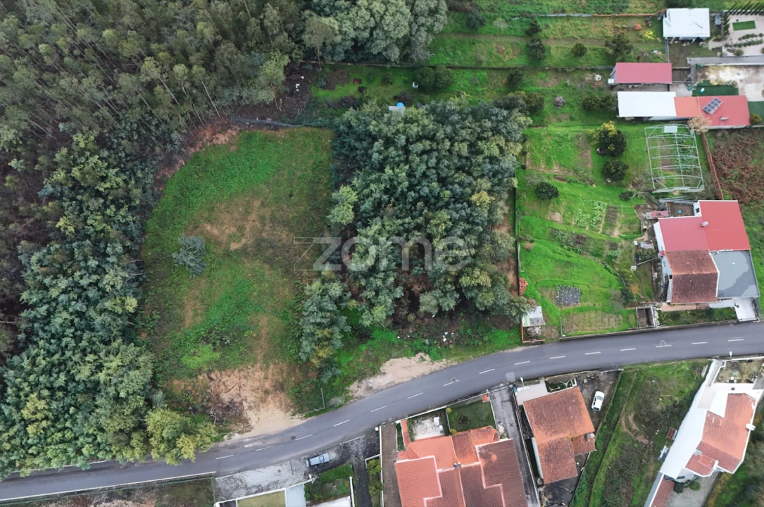 Terreno para Venda em São Martinho do Bispo e Ribeira de Frades Foto 8