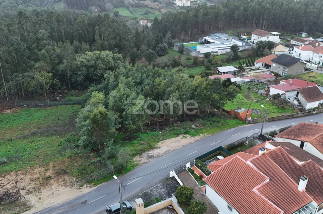 Terreno para Venda em São Martinho do Bispo e Ribeira de Frades Foto 10