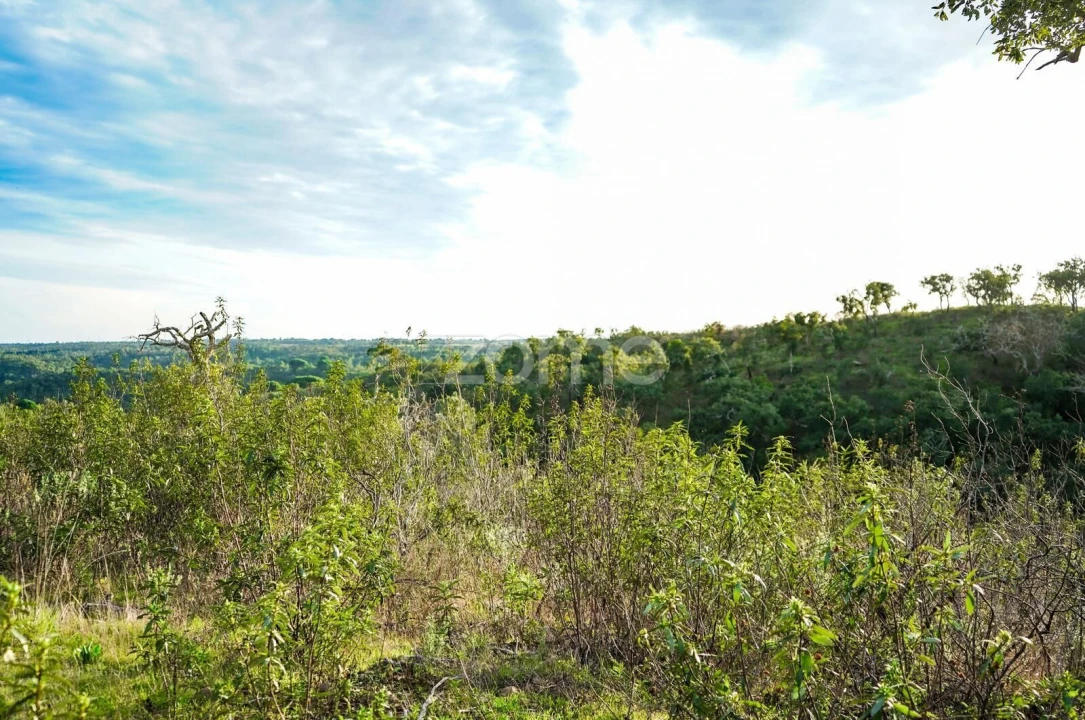 Terreno para Venda em Grândola e Santa Margarida da Serra Foto 6