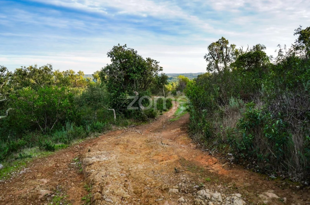 Terreno para Venda em Grândola e Santa Margarida da Serra Foto 9