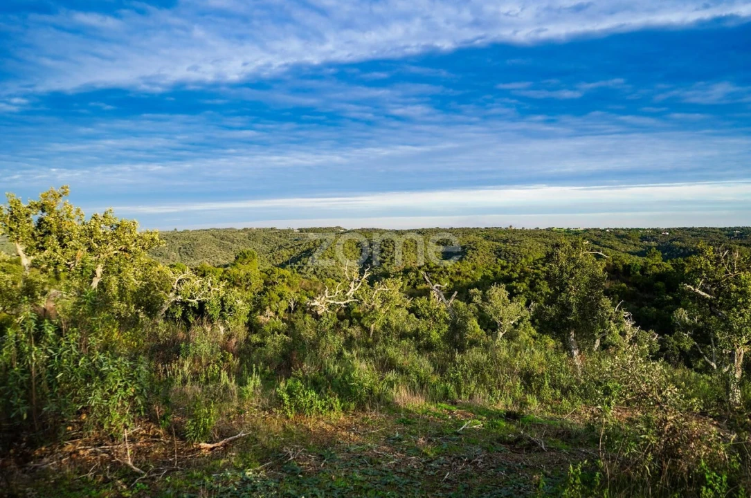 Terreno para Venda em Grândola e Santa Margarida da Serra Foto 11