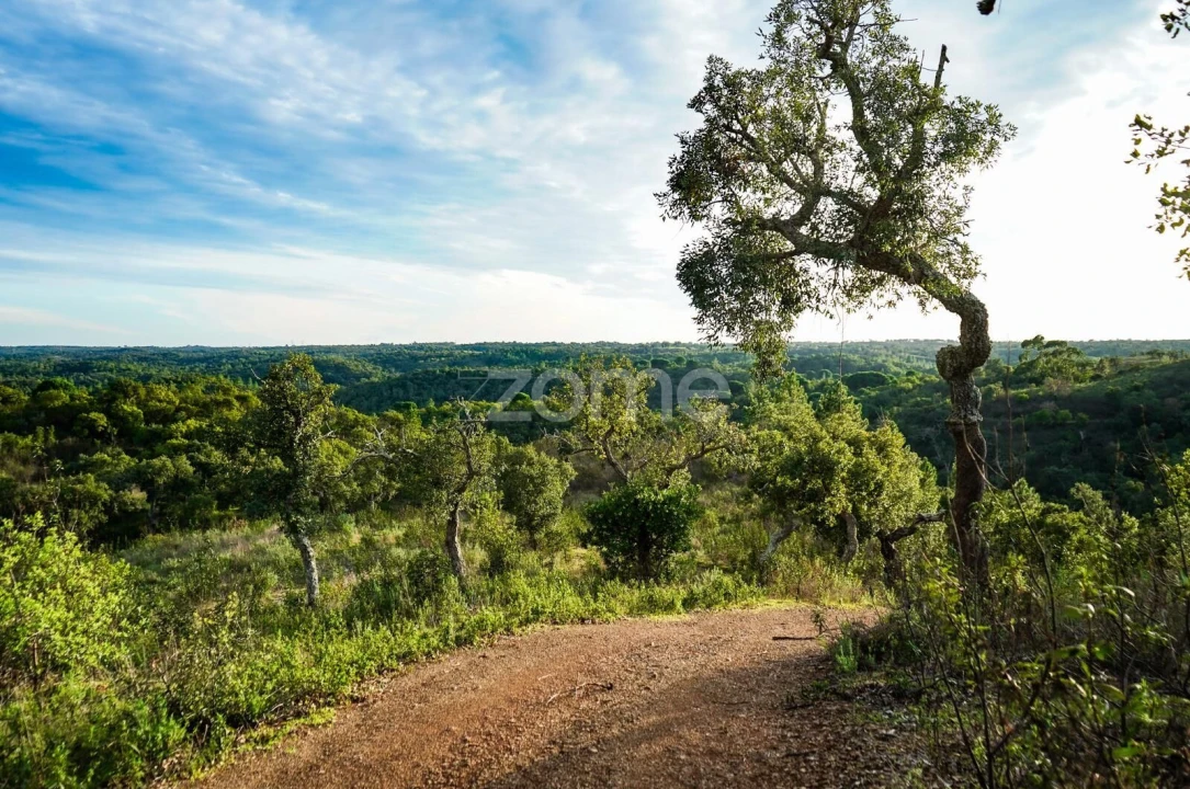 Terreno para Venda em Grândola e Santa Margarida da Serra Foto 13