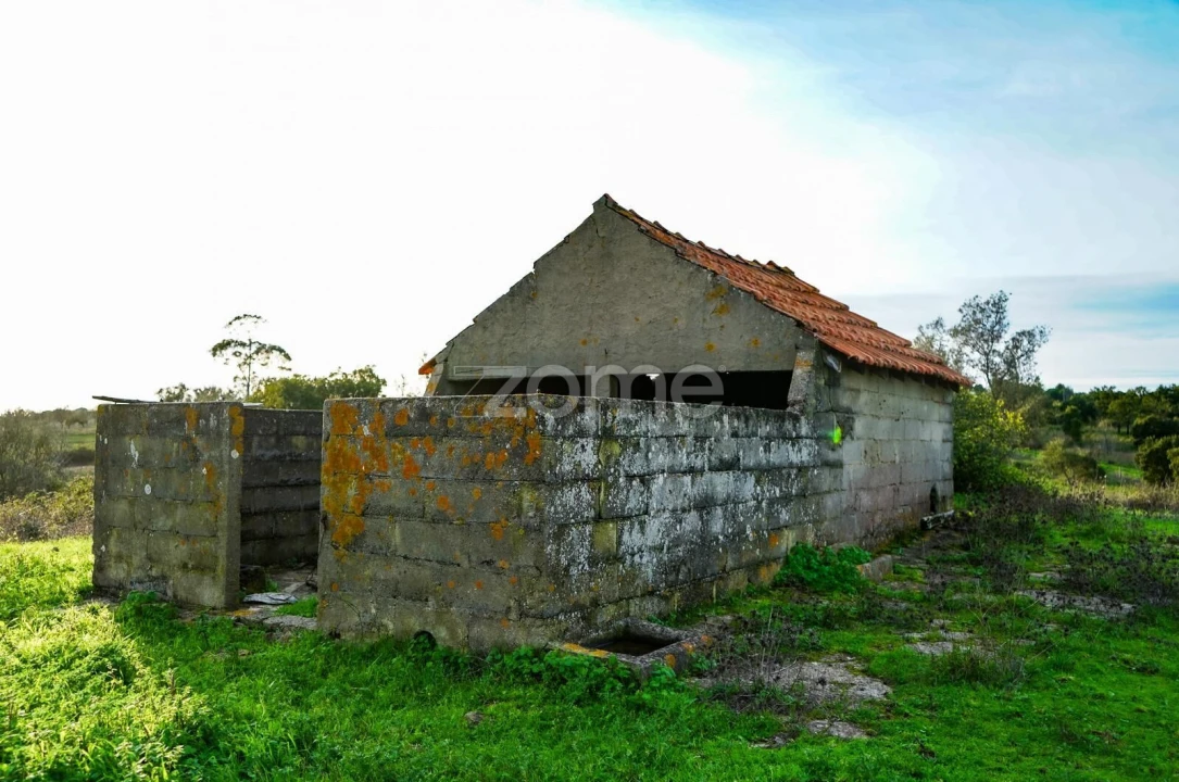Terreno para Venda em Grândola e Santa Margarida da Serra Foto 15