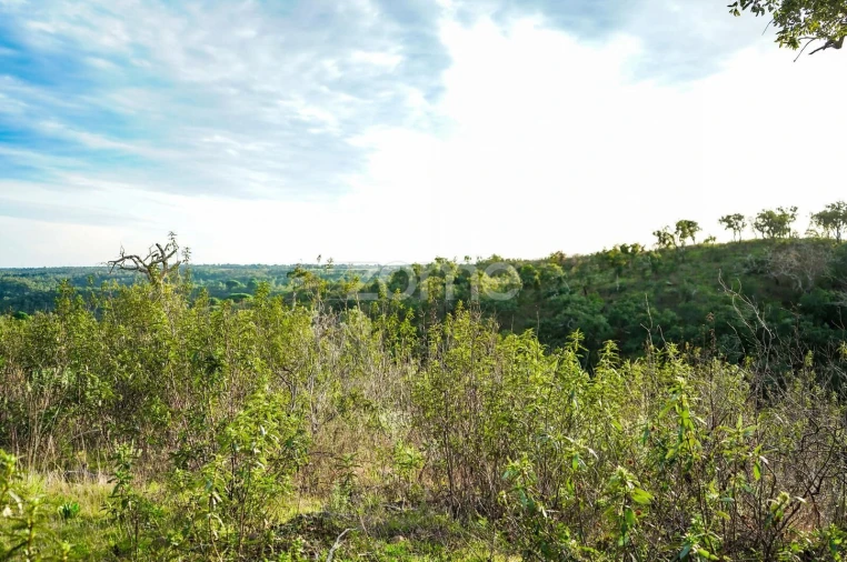 Terreno para Venda em Grândola e Santa Margarida da Serra Foto 6