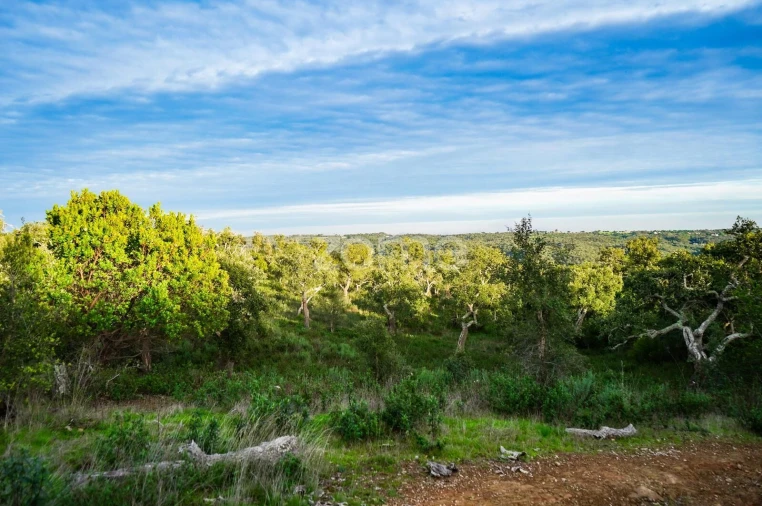 Terreno para Venda em Grândola e Santa Margarida da Serra Foto 8
