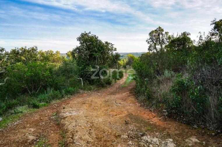 Terreno para Venda em Grândola e Santa Margarida da Serra Foto 9