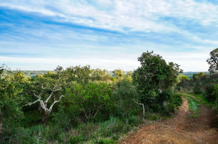 Terreno para Venda em Grândola e Santa Margarida da Serra Foto 10
