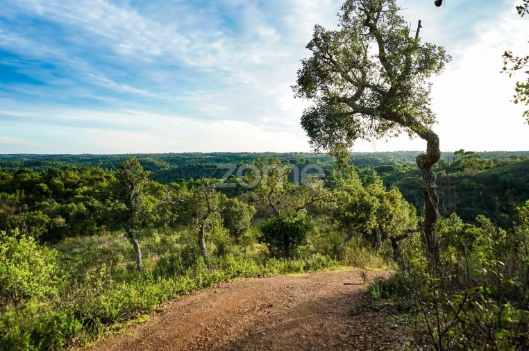 Terreno para Venda em Grândola e Santa Margarida da Serra Foto 13