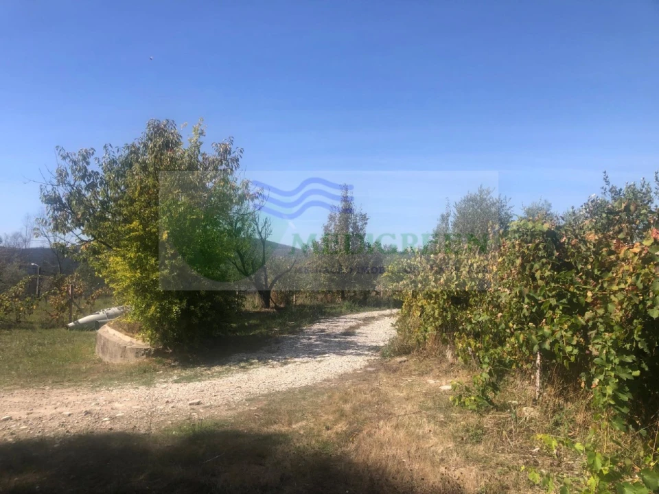 Armazém para Venda em Silva Escura e Dornelas Foto 13