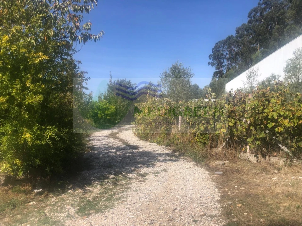 Armazém para Venda em Silva Escura e Dornelas Foto 21