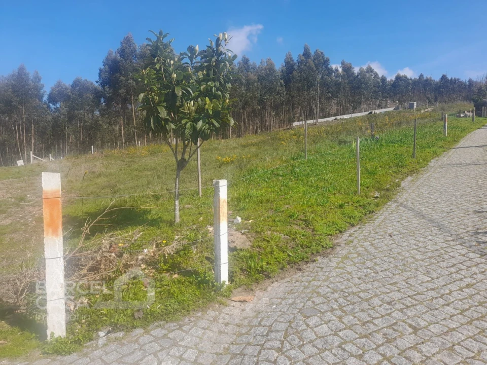 Terreno para Venda em Vila Cova e Feitos Foto 5