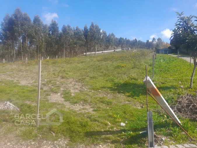 Terreno para Venda em Vila Cova e Feitos Foto 6
