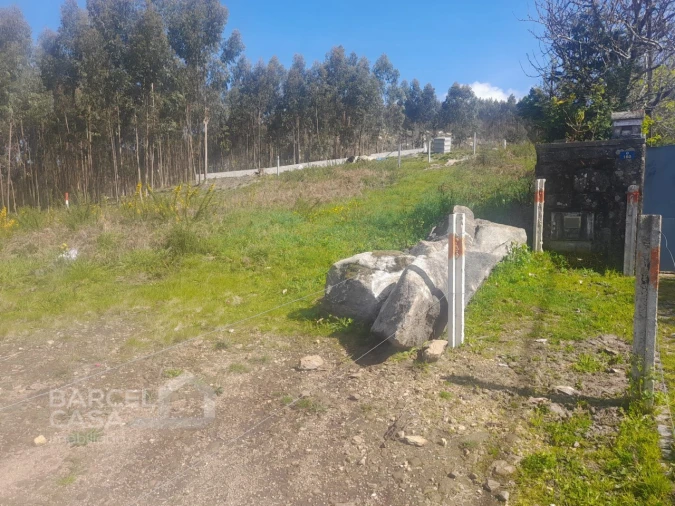 Terreno para Venda em Vila Cova e Feitos Foto 9