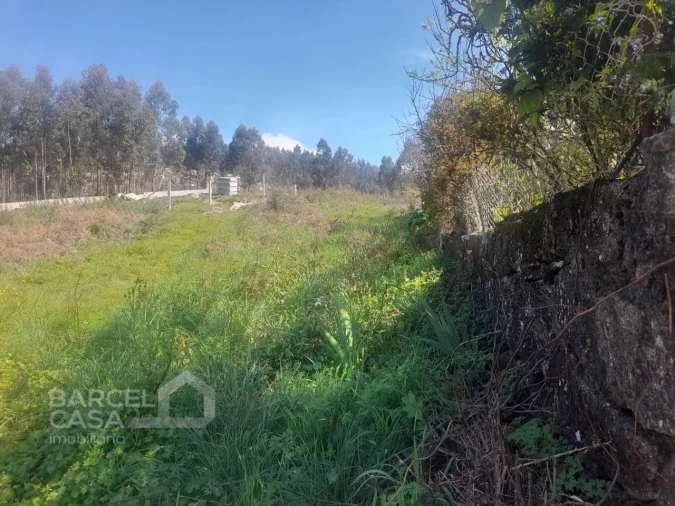 Terreno para Venda em Vila Cova e Feitos Foto 12