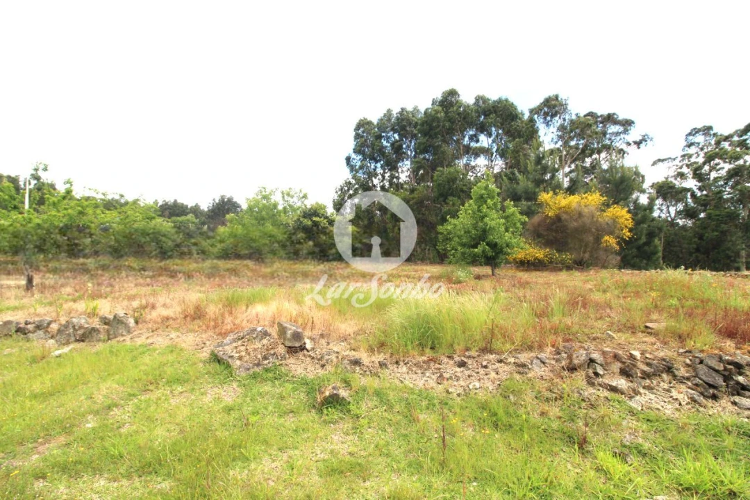 Moradia T3 para Venda em Tamel (Santa Leocádia) e Vilar do Monte Foto 15