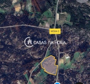 Terreno Agricola ou Rústico para Venda em Aguiar da Beira e Coruche