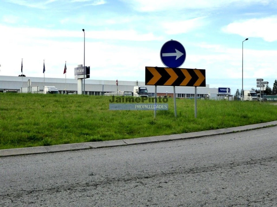 Terreno Agricola ou Rústico para Venda em Albergaria-A-Velha e Valmaior Foto 3