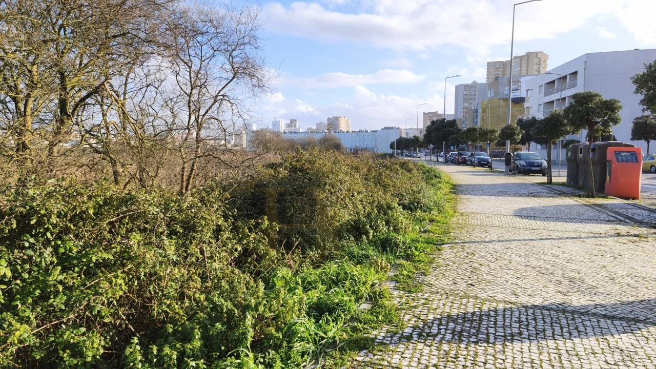 Terreno para Venda em Aver-O-Mar, Amorim e Terroso Foto 3