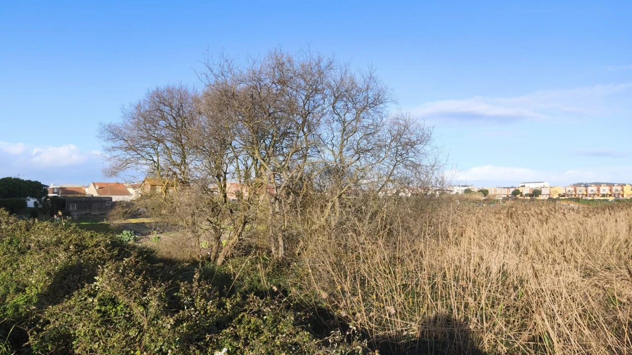 Terreno para Venda em Aver-O-Mar, Amorim e Terroso Foto 4