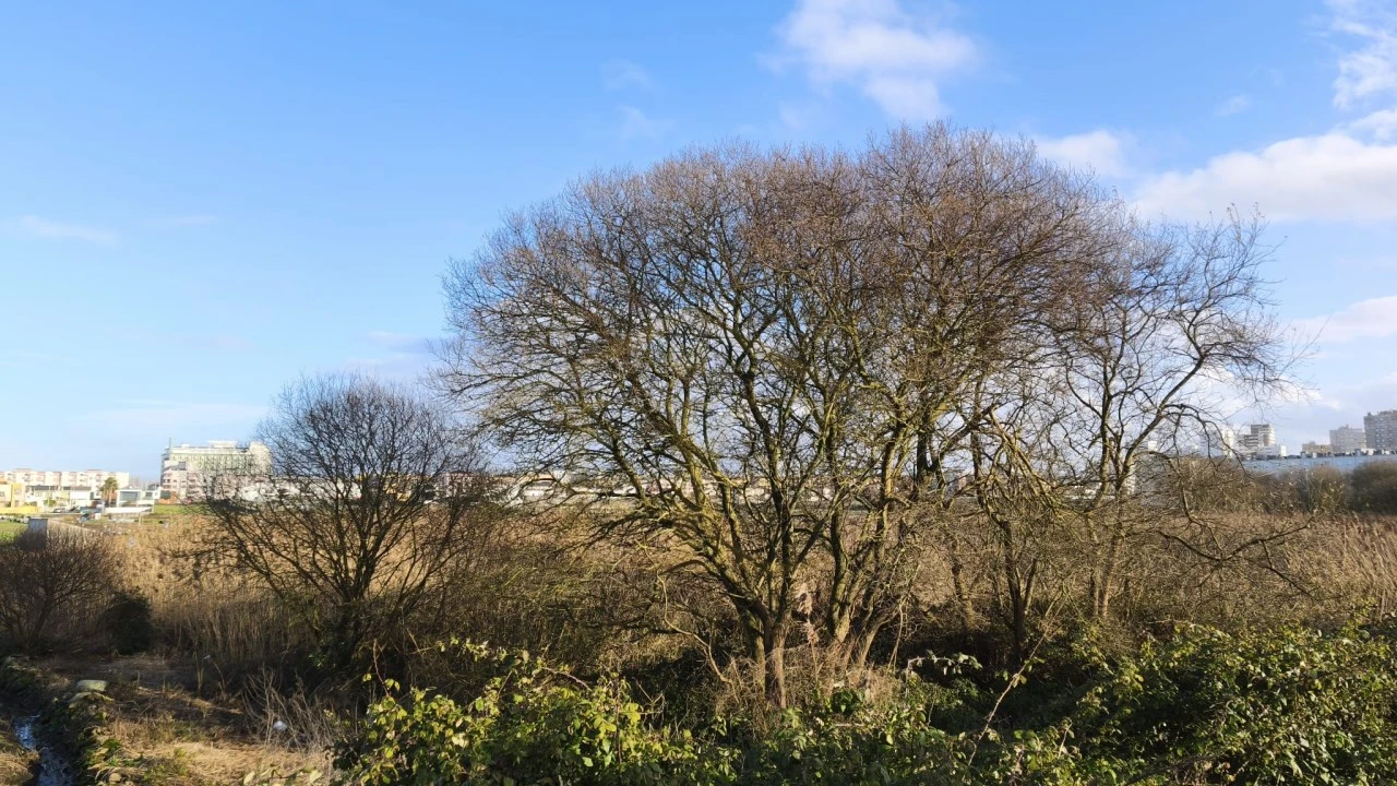 Terreno para Venda em Aver-O-Mar, Amorim e Terroso Foto 10