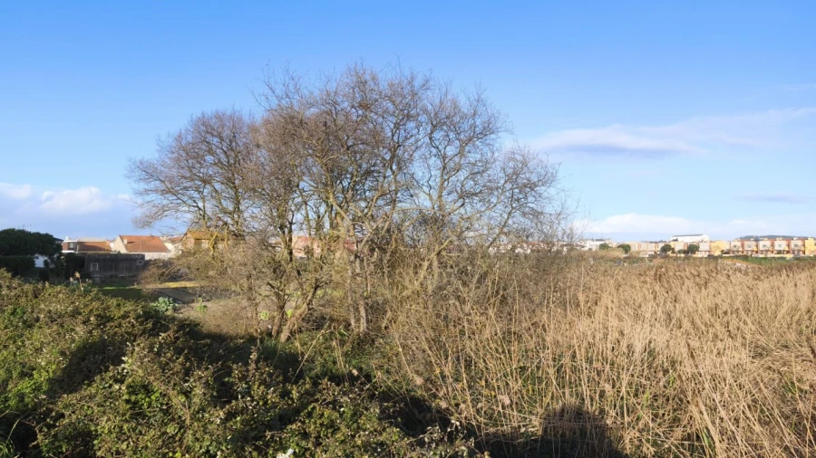 Terreno para Venda em Aver-O-Mar, Amorim e Terroso Foto 4