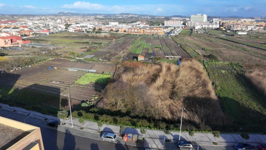 Terreno para Venda em Aver-O-Mar, Amorim e Terroso Foto 7