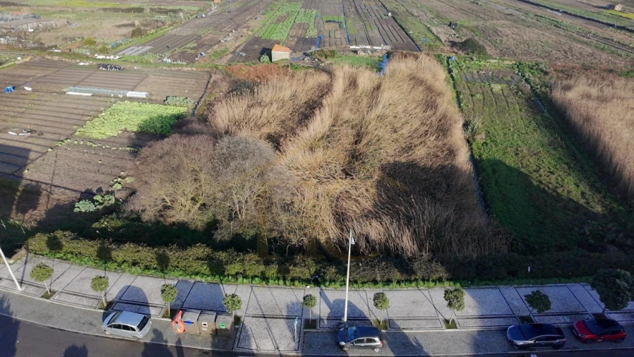 Terreno para Venda em Aver-O-Mar, Amorim e Terroso Foto 8