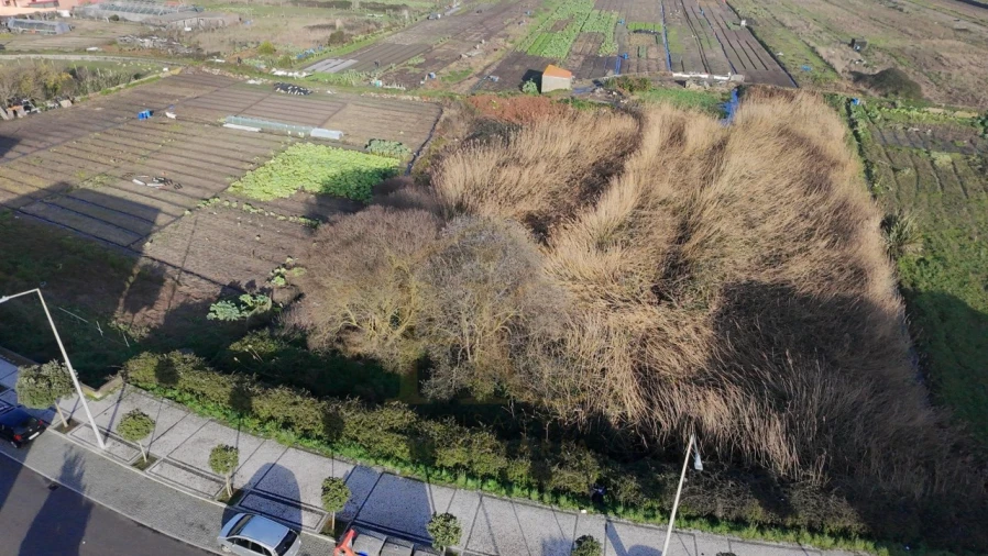 Terreno para Venda em Aver-O-Mar, Amorim e Terroso Foto 9