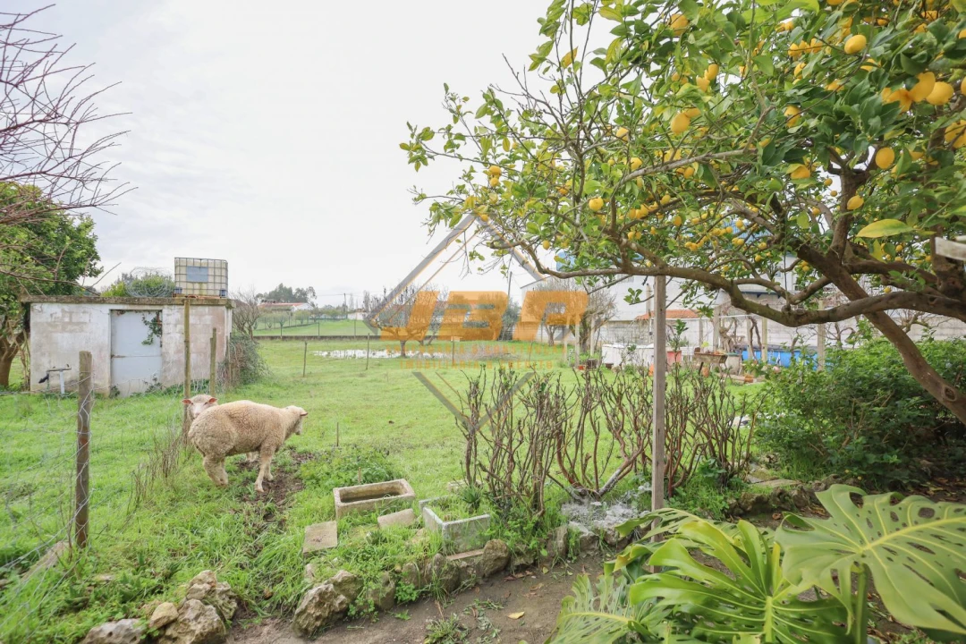 Moradia T5 para Venda em Povoa da Isenta Foto 30