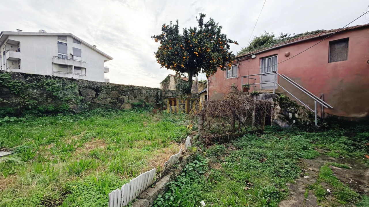 Terreno para Venda em Oliveira do Douro Foto 1