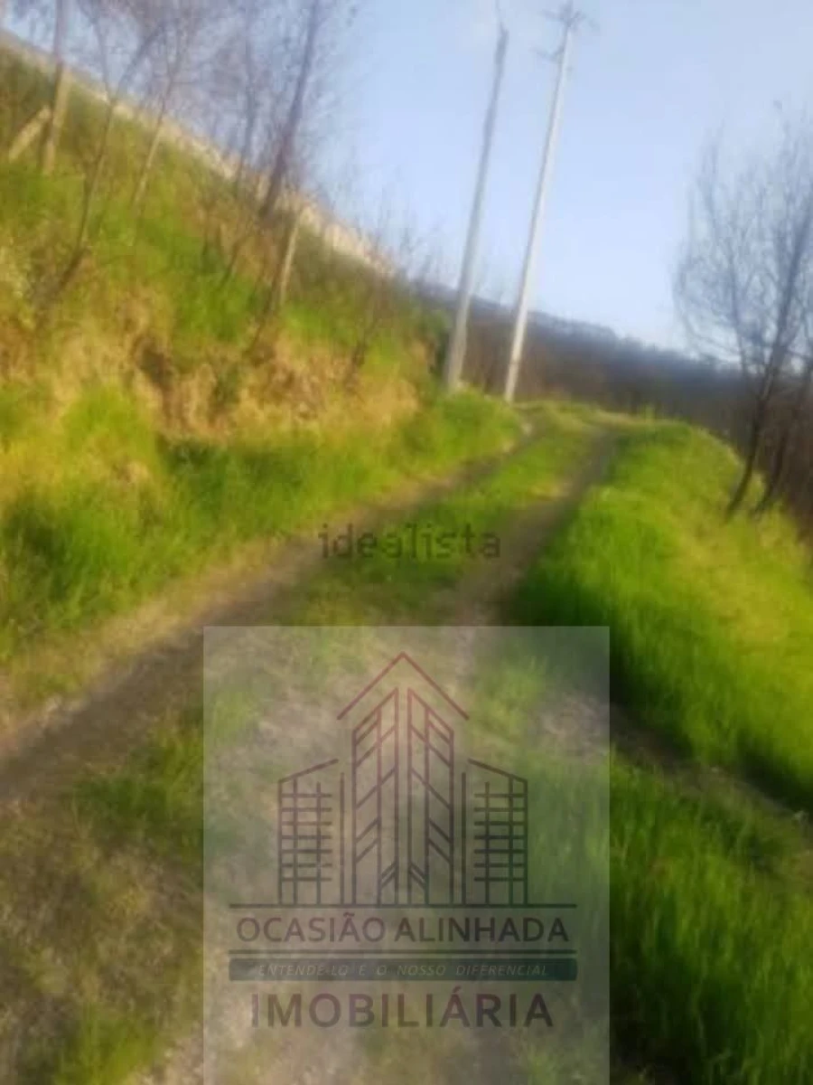 Quinta T0 para Venda em Penalva de Alva e São Sebastião da Feira Foto 9