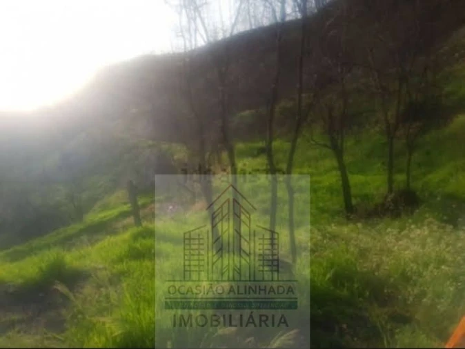 Quinta T0 para Venda em Penalva de Alva e São Sebastião da Feira Foto 13