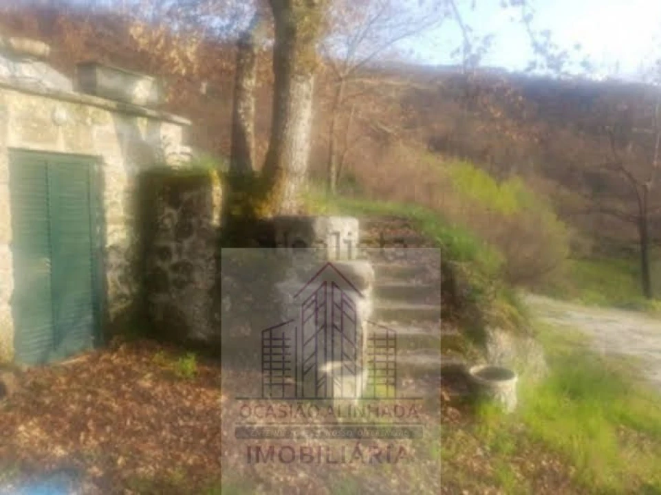 Quinta T0 para Venda em Penalva de Alva e São Sebastião da Feira Foto 12