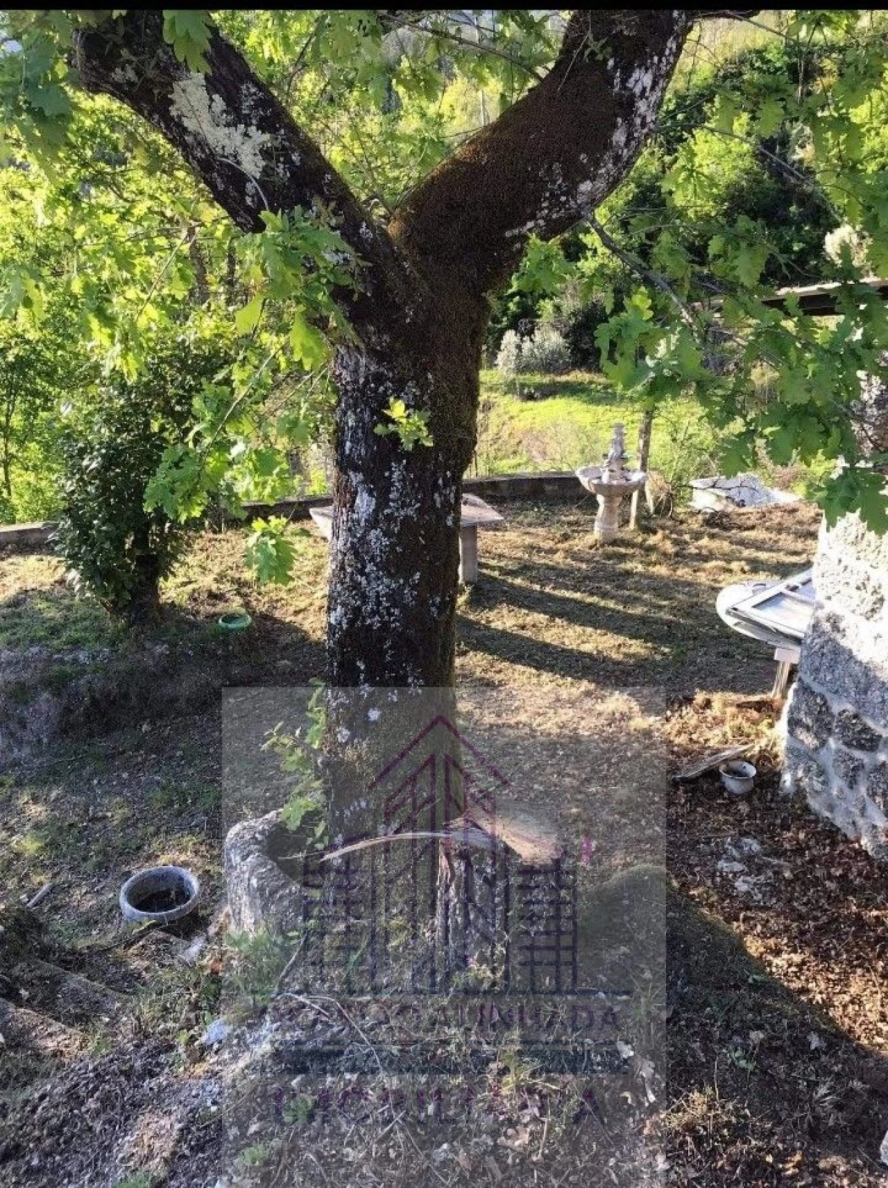 Quinta T0 para Venda em Penalva de Alva e São Sebastião da Feira Foto 1