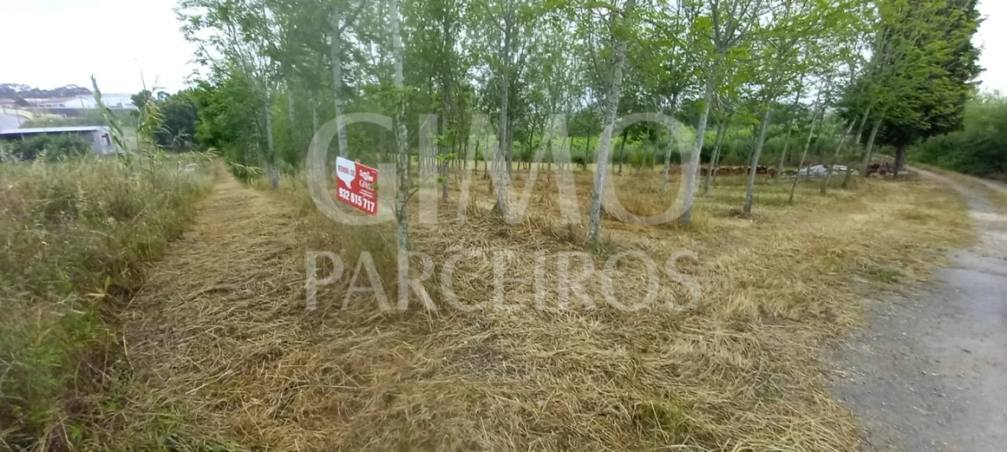 Terreno para Venda em Amoreira da Gândara, Paredes do Bairro e Ancas