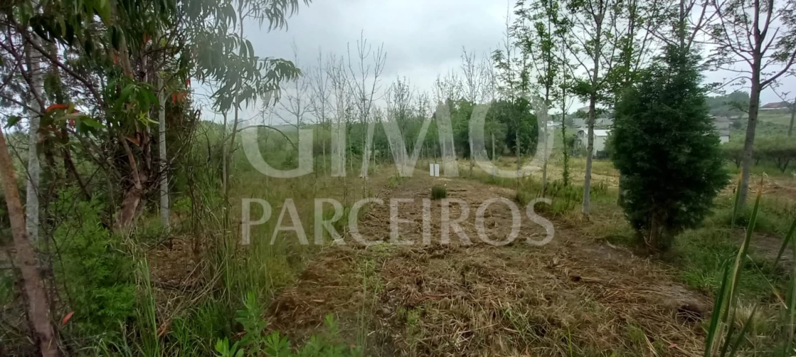 Terreno para Venda em Amoreira da Gândara, Paredes do Bairro e Ancas Foto 1