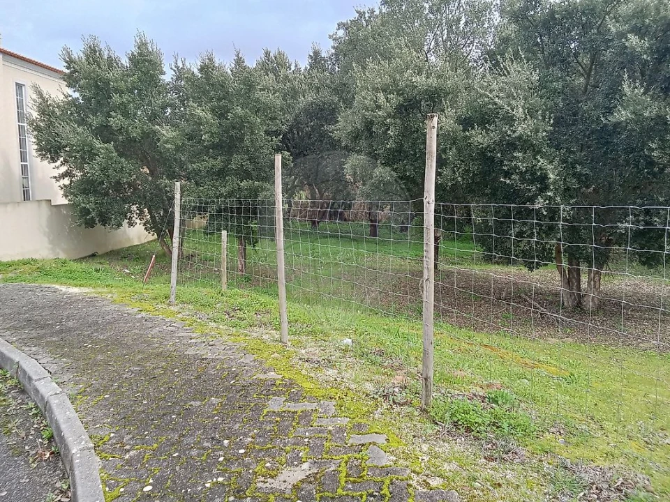 Terreno para Venda em Cartaxo e Vale da Pinta Foto 7