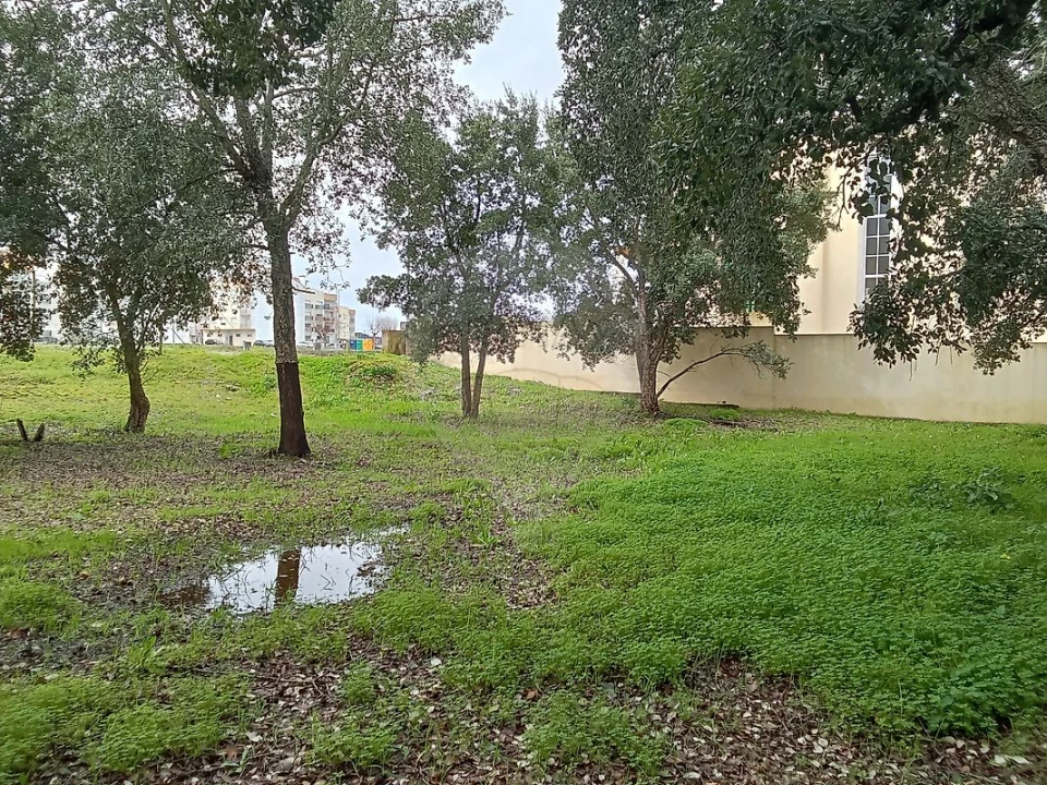 Terreno para Venda em Cartaxo e Vale da Pinta Foto 3