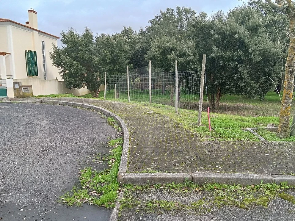 Terreno para Venda em Cartaxo e Vale da Pinta Foto 9