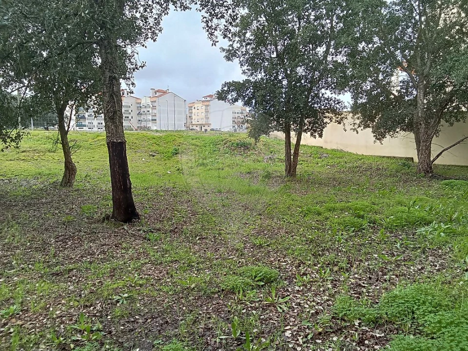 Terreno para Venda em Cartaxo e Vale da Pinta Foto 4