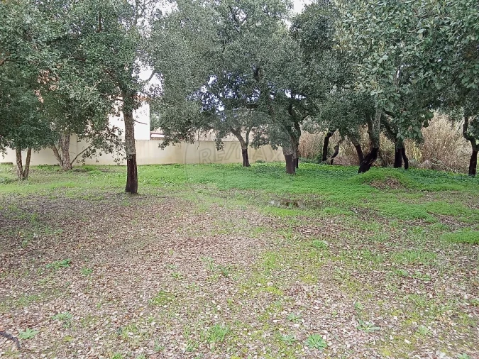 Terreno para Venda em Cartaxo e Vale da Pinta Foto 2
